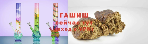 индика Бородино